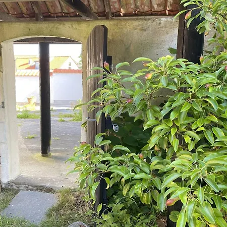 Hébergement de vacances Bedri - 100m From The Sea By Interhome
